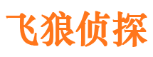 七里河婚外情调查取证